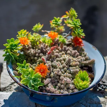 Retro On Island Mljet Villa