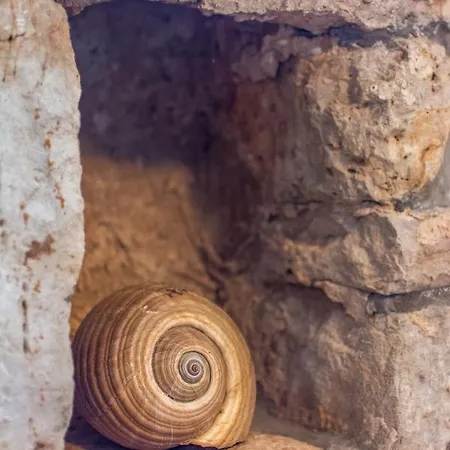 Villa Retro On Island Mljet