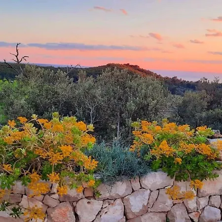 Villa Retro On Island Mljet