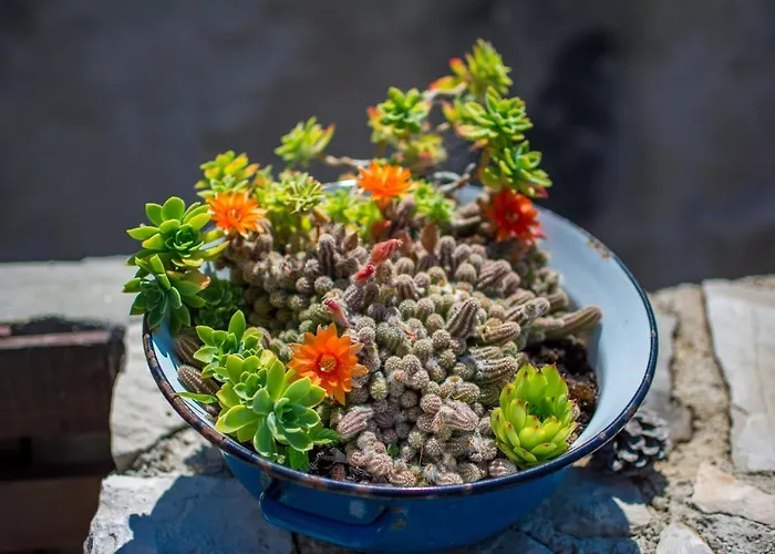 Retro On Island Mljet וילה