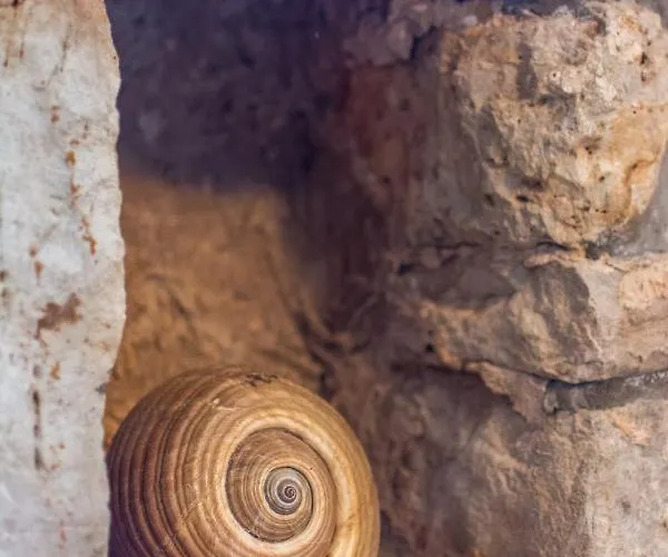 Villa Retro On Island Mljet