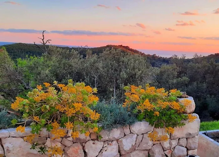 Villa Retro On Island Mljet